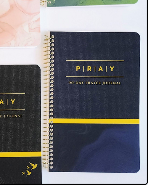 90-Day Prayer Journal - Blue