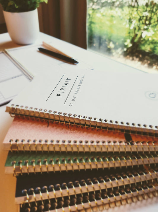 90-Day Prayer Journal - Blue